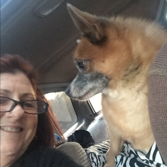 Not for sale - Picture 3 of 4